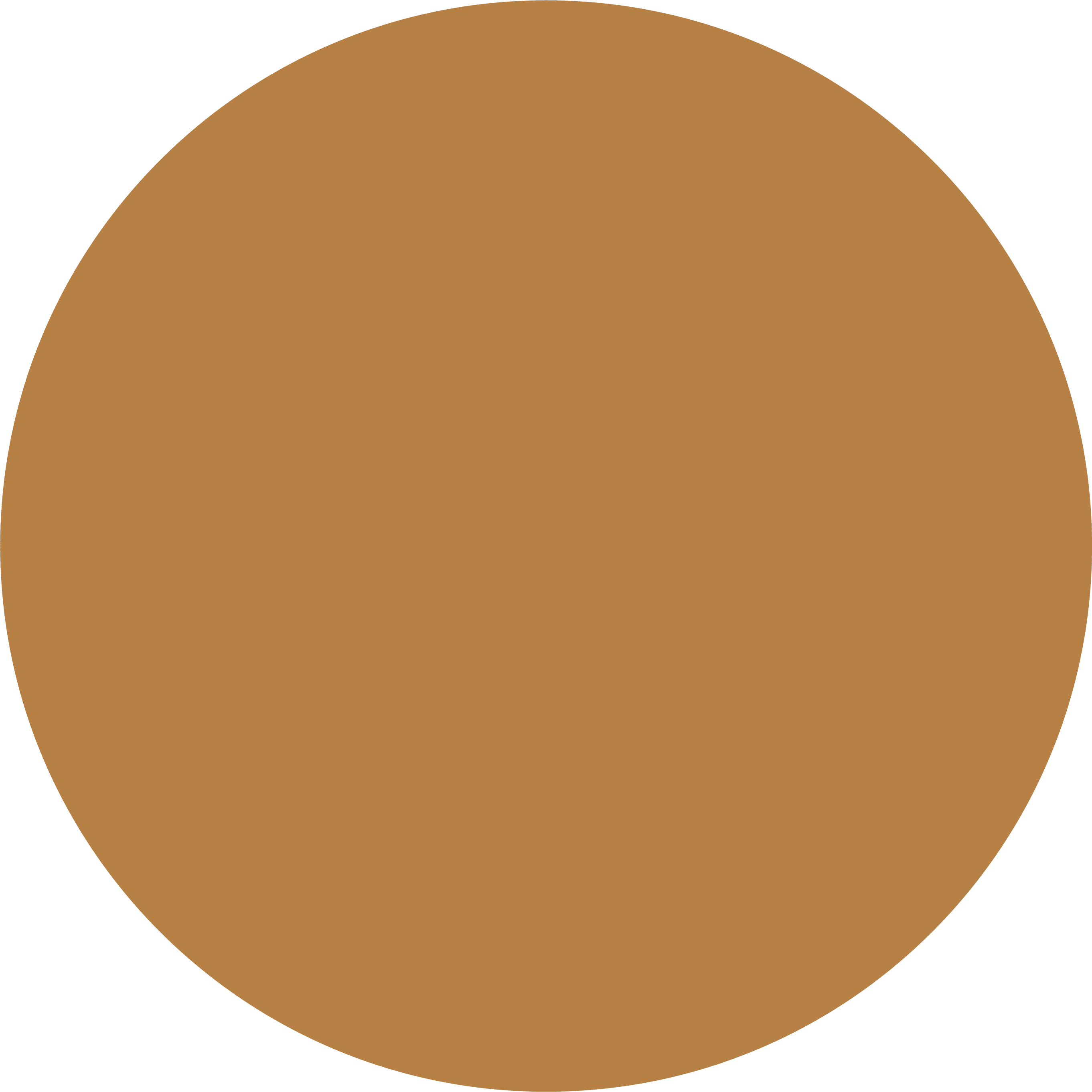 Rice Bowls Menu Dear Saigon